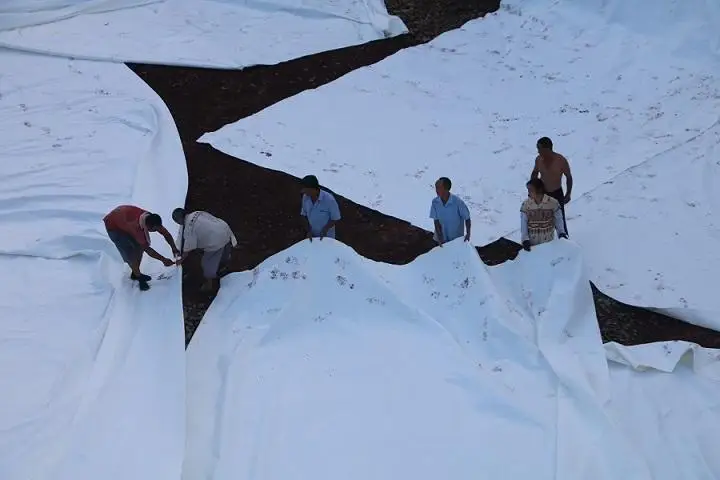Reinforced New Bidim Fabrics woven geotextile for Road Construction