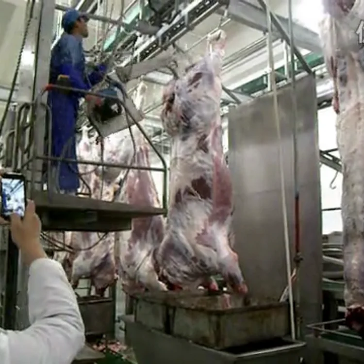 Оборудование для убоя пила разделения каркаса крупного рогатого скота ленточная инвентарь