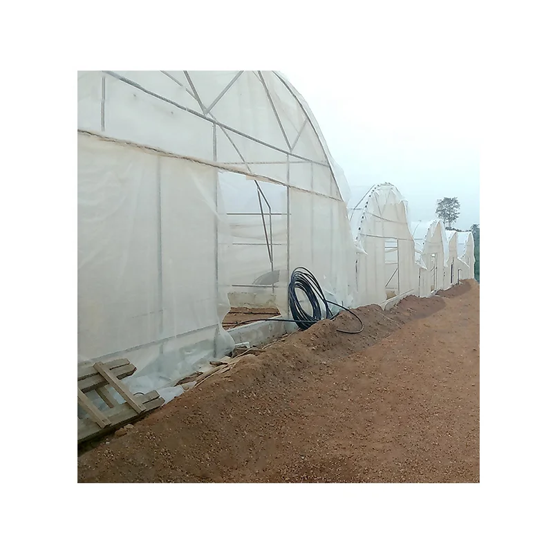 
Commercial single-span tunnel greenhouses agriculture greenhouse with Chinese greenhouse kit and hydroponic container 