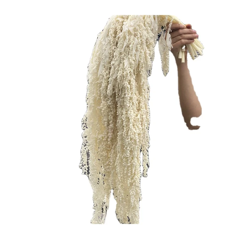 Yunnan natural wholesale natural dried preserved amaranth for home decoration & wedding