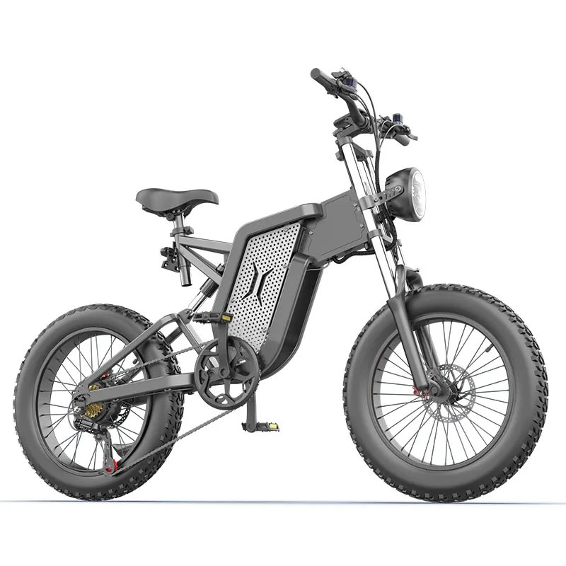 X20 E-Mountain Bike 20inch Electric Bicycle 2000W 20AH 48V E-Bike