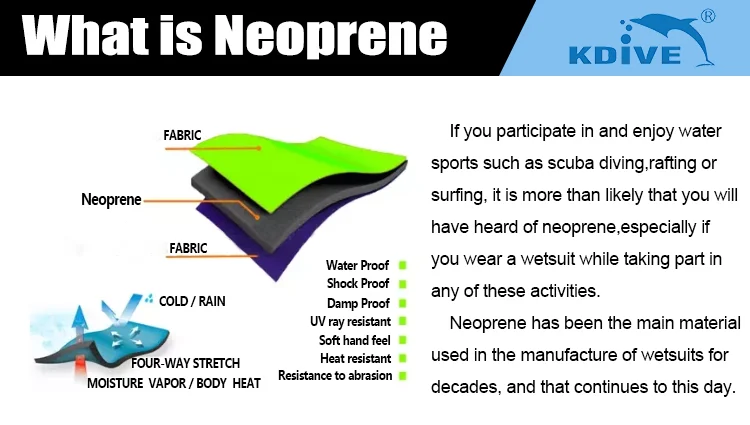 paste-pic-dp_uuid_mtqrv