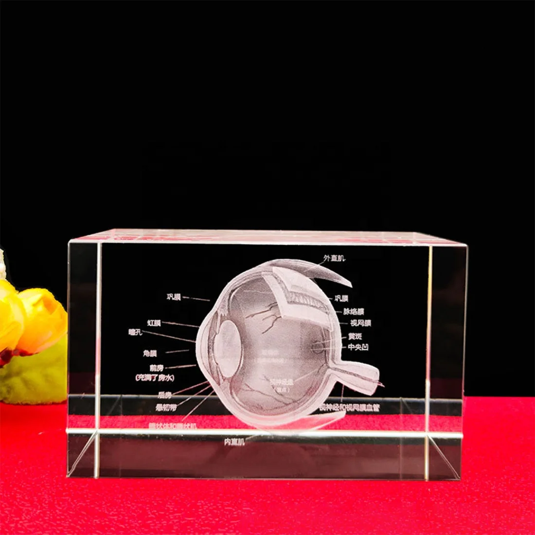 Crystal Photo Frame Factory Supplies Gift Wholesale Blank Glass High Quality Custom Clear 3D K9 Model Laser Engraved Animal