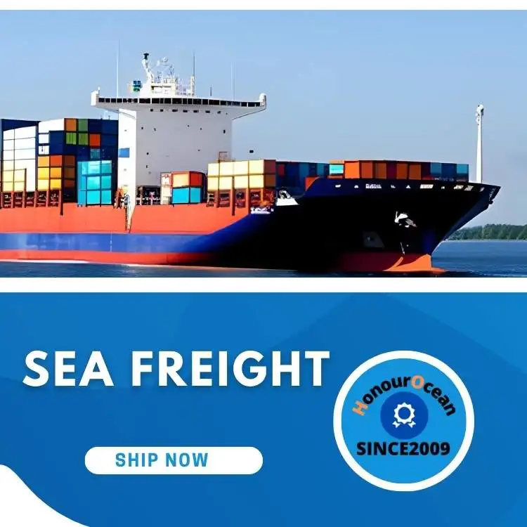 china top 10 freight forwarders international shipping  sea shipping agent china to Czech Republic