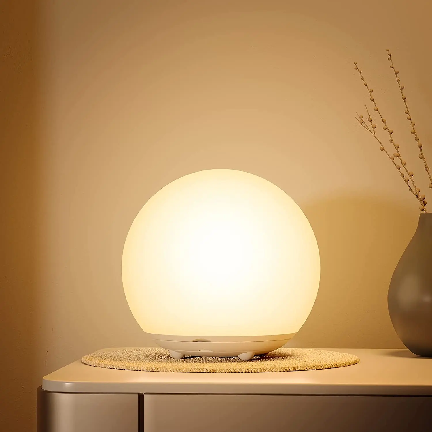 Dimmable Touch Sensor Lamp with Warm White Light & RGB Night Light Bedside Lamp for Bedroom