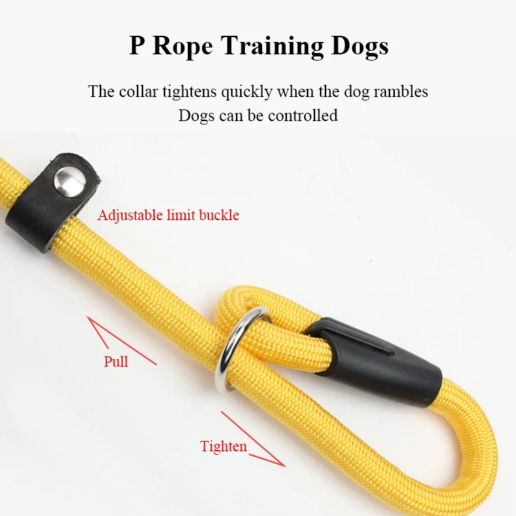 Hot Sale Lightweight Durable Non-slip Dog Leashes Collar Thickened P-Chain Loop Slip Lead Running Nylon Training Traction Rope