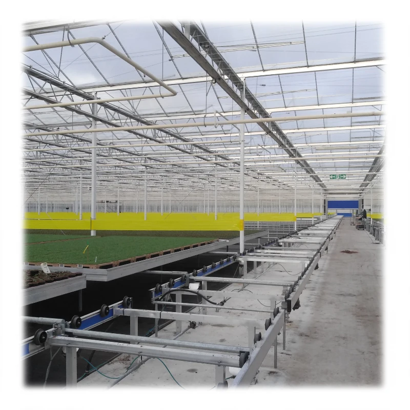 Green house agricultural large plastic film greenhouse China factory