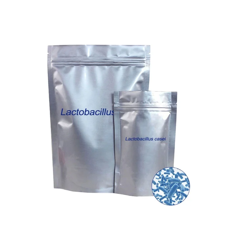 Lactobacillus casei порошок HH-LC39 100 млрд КОЕ/г пробиотики сыпучий порошок Здоровое питание пищевая добавка OEM