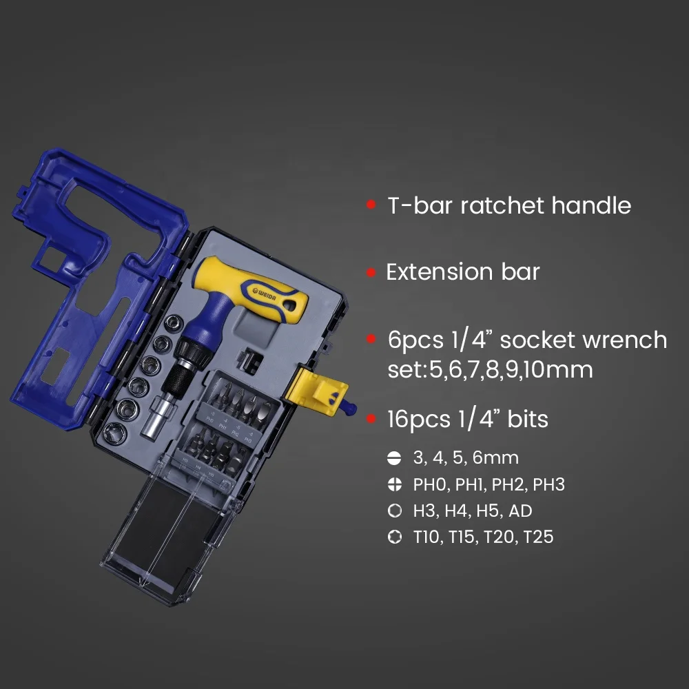 Maxpower 24 in 1  Bits and socket wrench set with Storage Case for Home