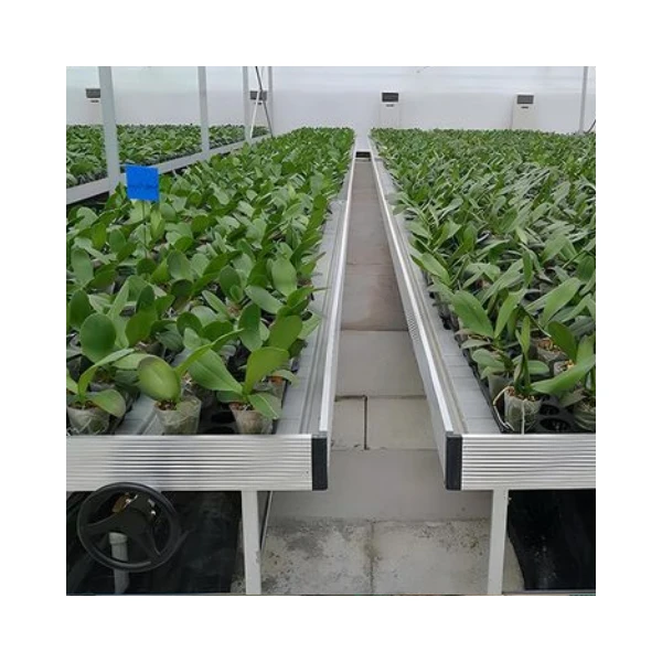 Factory Supply Greenhouse Rolling Benches Flood Tray Hydroponic Ebb and Flow Table For Green House Vegetable