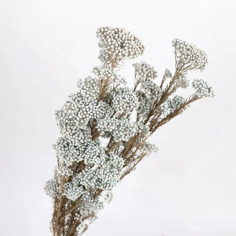 Wholesale Popular Everlasting Stained Rice Flower Millet Mi Flower For Wedding Decoration Desk Display  baby pampas asparagus