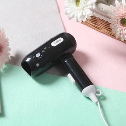 Hot sale factory direct oem hair travel case mini hair dryer Cheap Price
