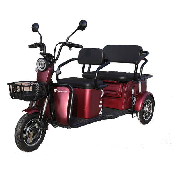 Model EPC 2S  Good Look Electric Tricycles 60V 500w  one Seat Citycoco Adults Max Light Body OEM