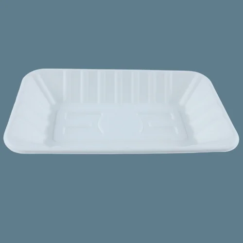 Portable 100% Biodegradable China Food Trays Nature Color No Plastic Sugarcane Pulp Tray Total Green