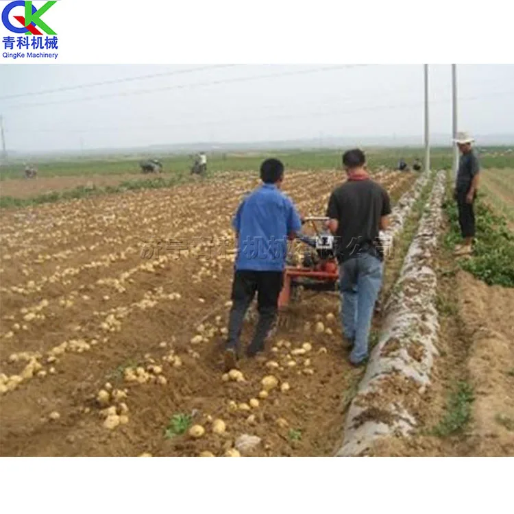 Peanut sweet potato underground crops harvesters potato digging cleaning tools