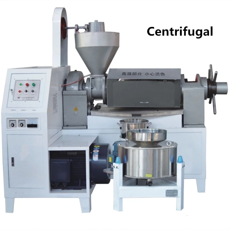 ZYJ-100 Automatic Oil Processing Machine Sunflower Rapeseed Oil Pressing Machine Black Soldier Fly