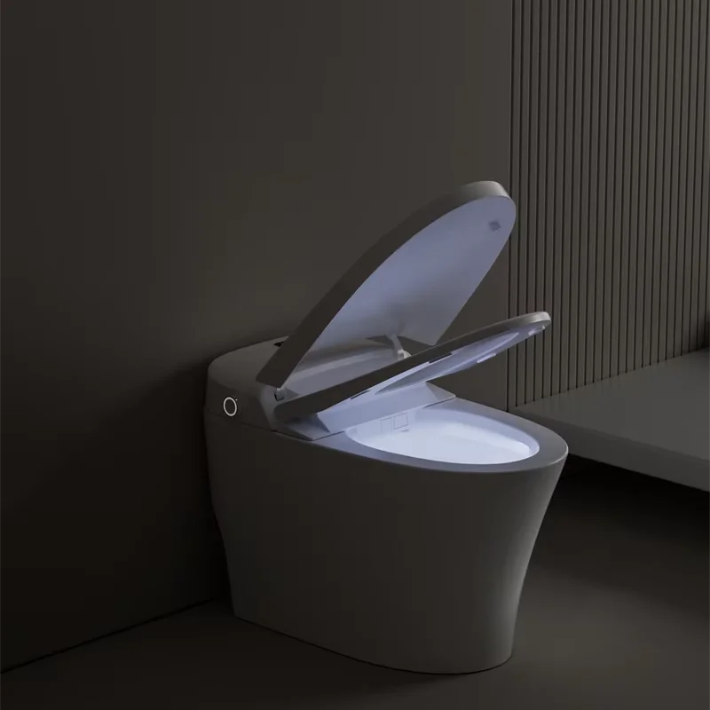 Auto Washing Automatic Water Spray Smart Toilet Smart Toilet Bidet WC Toilet Seat Smart for Bathroom