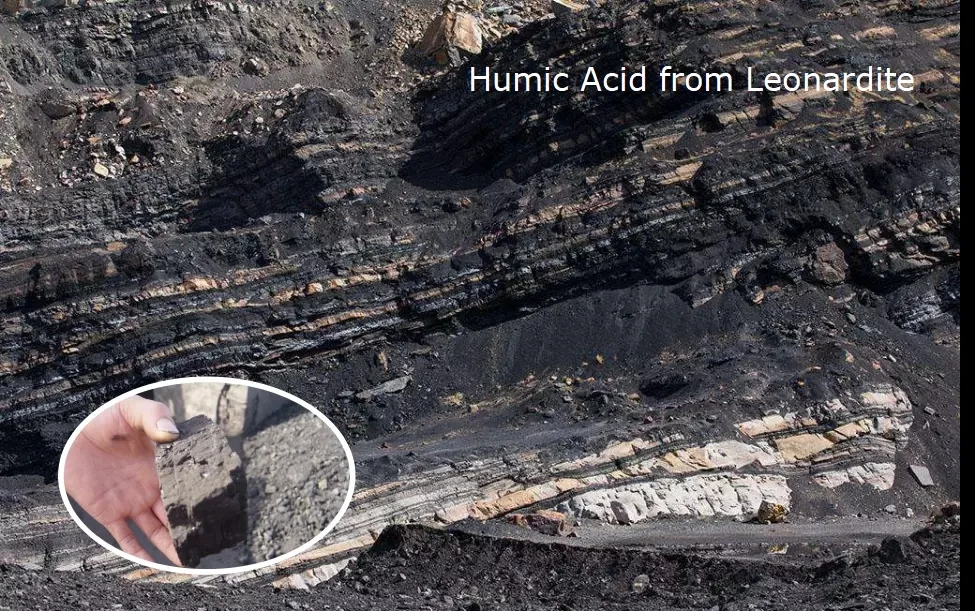 
Natural Fertilizer synergist Organic humic acid price where to buy humic acid 