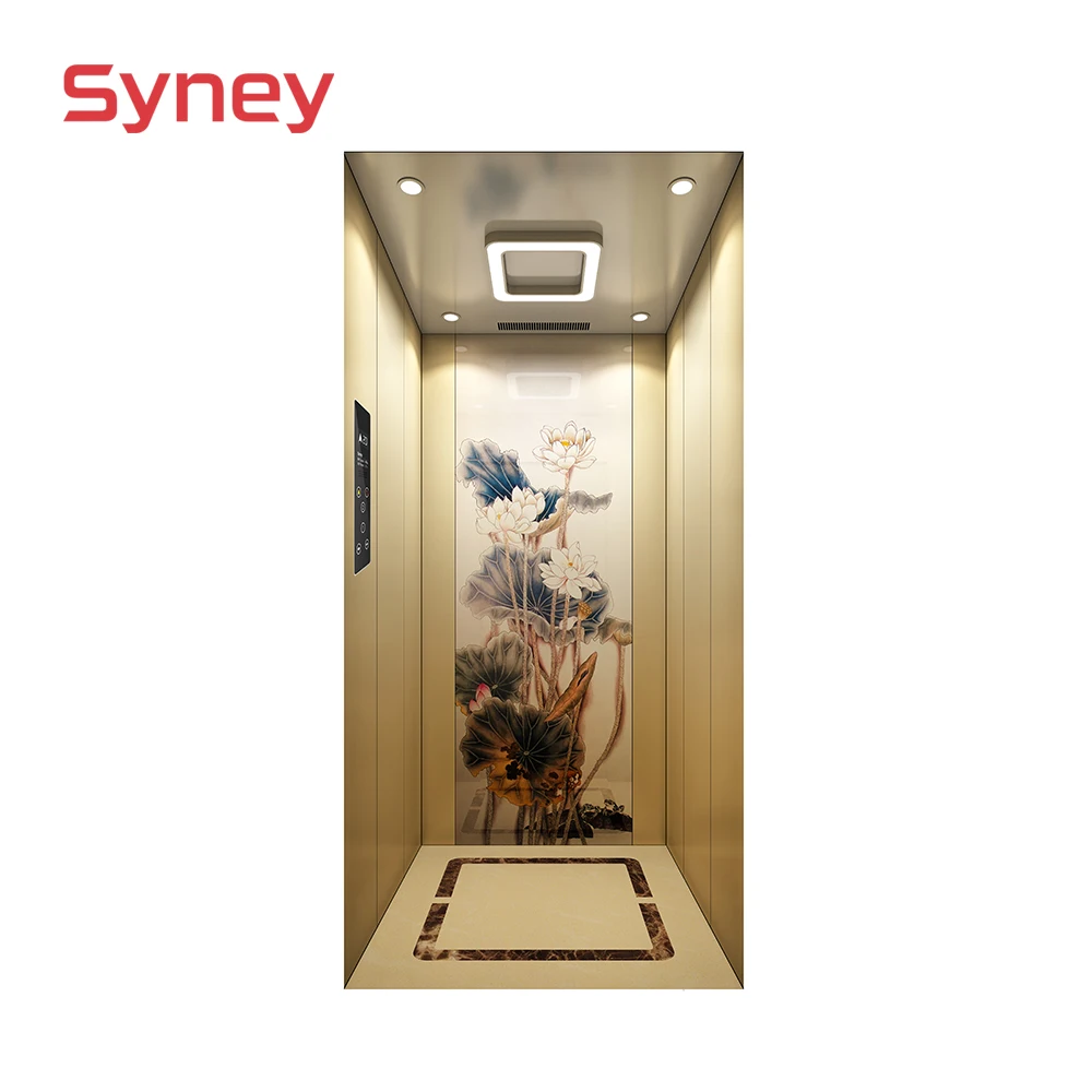 Syney Superior Quality Stable Performance Residential Villa home elevator kit