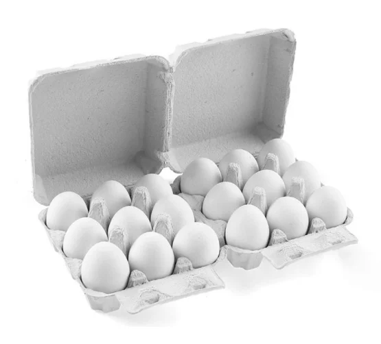 Paper Pulp Egg Carton Biodegradable  Egg Tray box 20, 30, 50, 60, 100 cell Poultry packaging Egg carton
