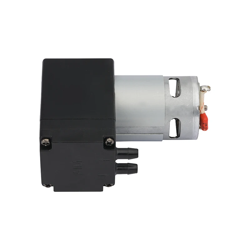 Adjustable Portable Mini Electric 12V DC Auto Vacuum Pump