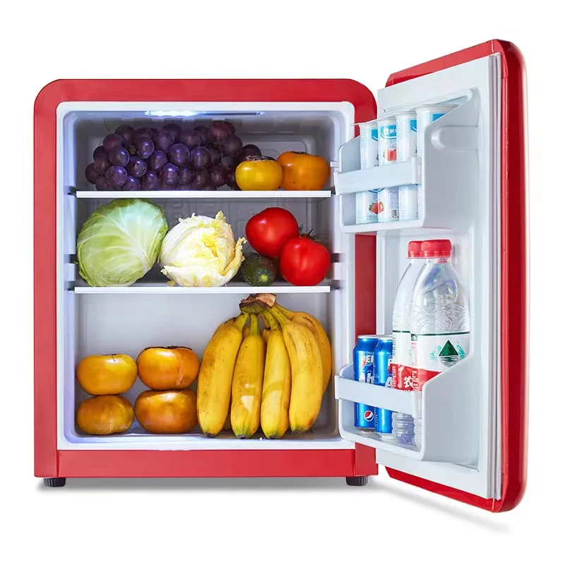 New Arrived 48L Makeup Fridge DC12V AC Small Refrigerator