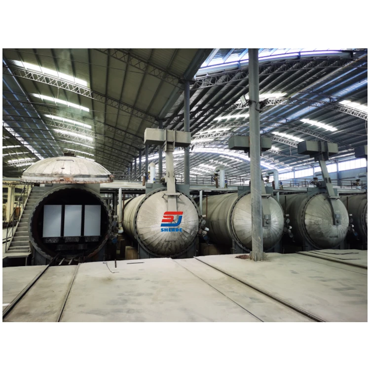 German technology full automatic 300m3 500m3 1000m3 fly ash steam concrete sand AAC block lightweight brick making machine