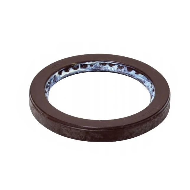  OEM MB837719 17.5*24.5*4.9 Inch Size FKM TC Oil Seal Manufacturer