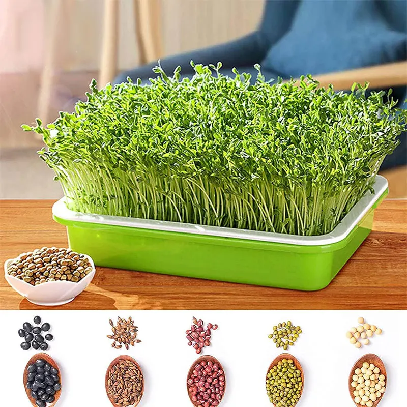 Plastic lid bean sprout trays nursery seeding seed sprouting tray Microgreen