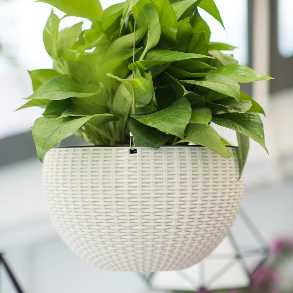 Оптовая продажа декоративные домашние балконные садовые горшки для растений цветов пластиковые подвесные корзины на открытом воздухе