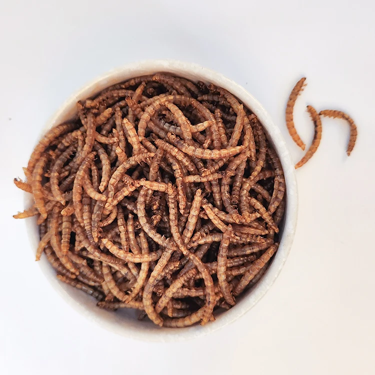 New Functionality Dried Insects Freeze Dried Mealworm for Small Pet food