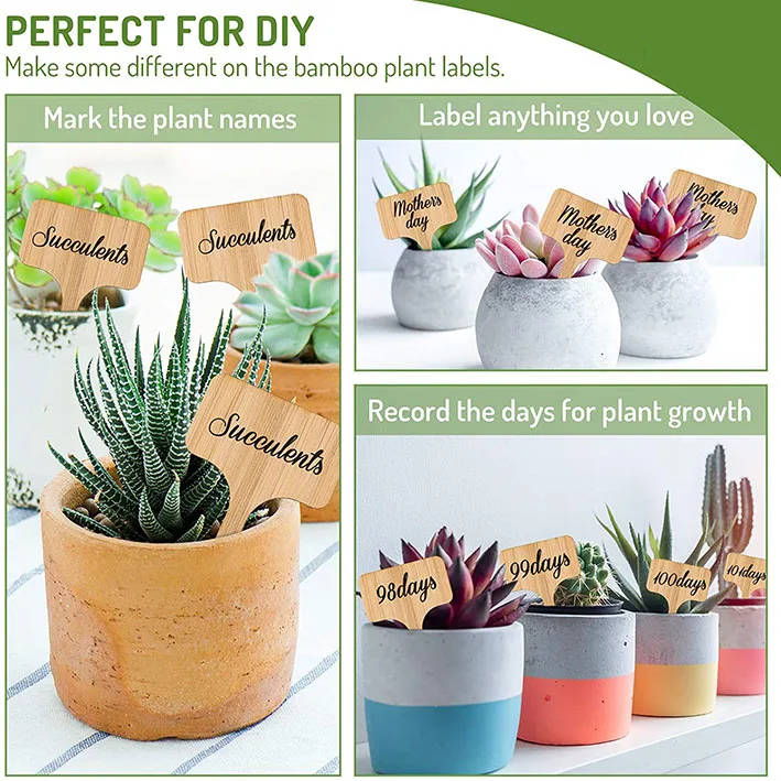 Tailai Bamboo Wood Name Tag Bamboo Plant Labels Wooden Plant Sign Tags Bamboo Plant Labels T-Type Tags