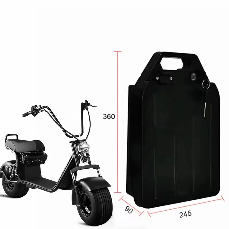 60v 20ah 24ah 28ah Lithuim Ebike Battery Three-wheeled Electric Scooter Battery Citycoco WS-PRo TRIKE Akku 1000w