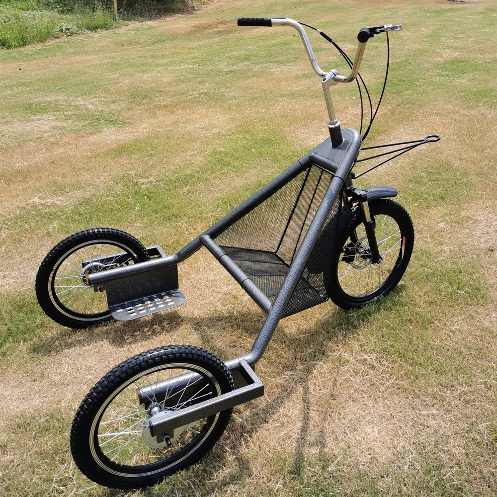 
dog powered trike 