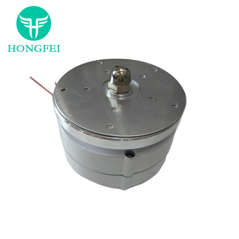 China Supplier Low RPM Permanent Magnet Generator Permanent Magnet Motor Free Energy Generator