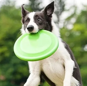 Paidu Manufacturer 175G Professional Sports Custom Logo Printed Frisbee Wholesale Adult Competitive Ultimate Frisbee