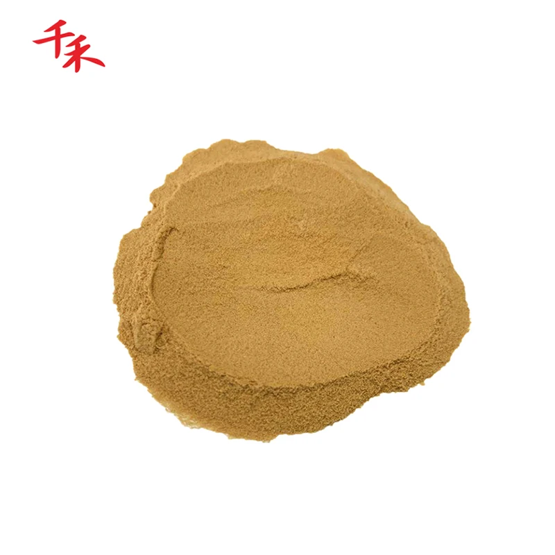 Chinese Halal  Concentrate Soy Sauce Powder