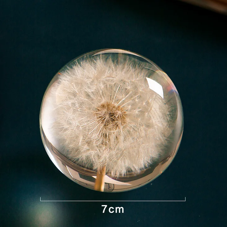 
Custom 3D 7cm 8cm 9cm Resin orb natural flower plant Real Dandelion Paperweight for Christmas Gifts Crystal Glass Home Decor 