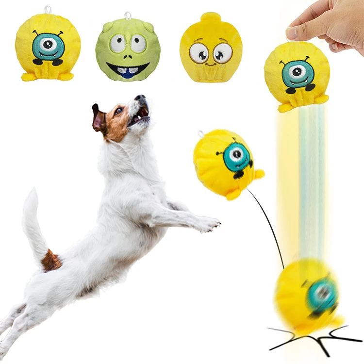 Istudio Factory Wholesale Small Pet Chew Toys Oem Pet Supplies Chew Toy