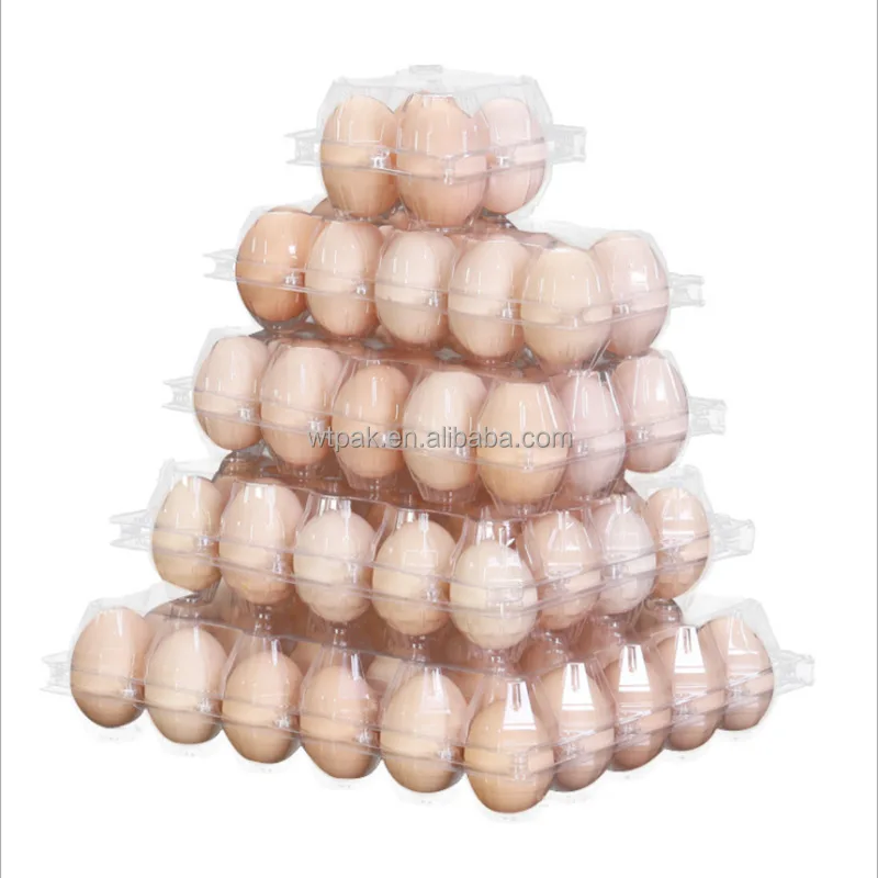 24PCS PET Egg Container Packaging container