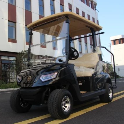 LEROAD Matte Black 2 Seater Club Vehicle Electric Golf Cart