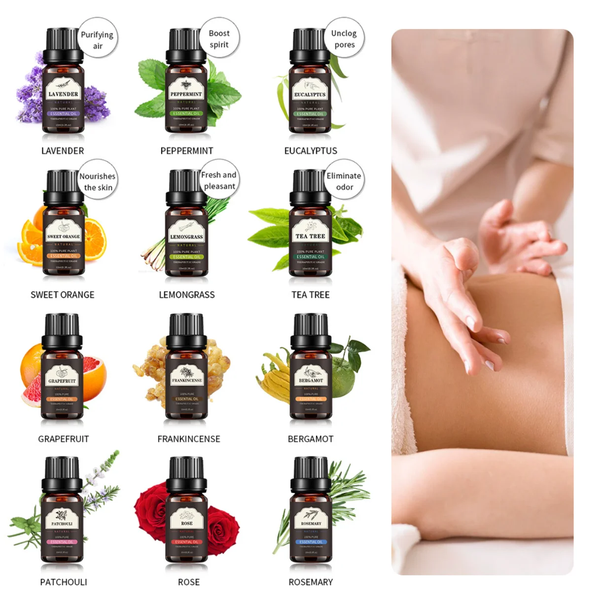 Ecological Manor 100% Organic Pure Tea Tree Sandalwood Lavender Essential Oil 10Ml Natural Gift Care