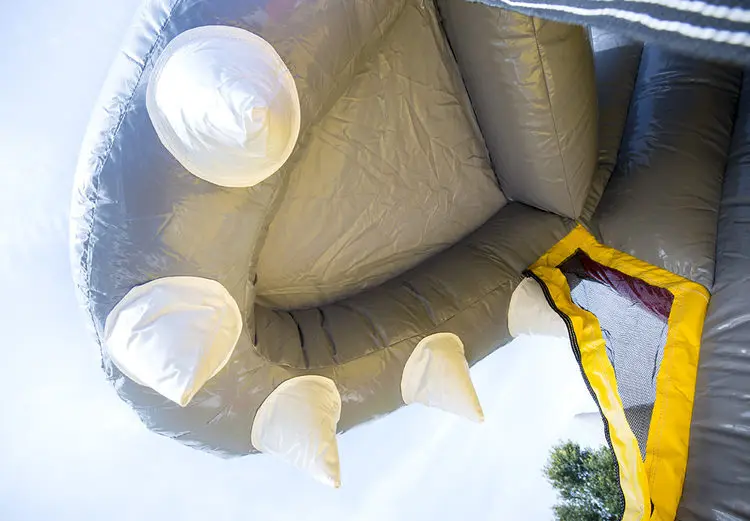 Wholesale Splashy Shark kids water park slides backyard inflatable bounce house inflatable water slide