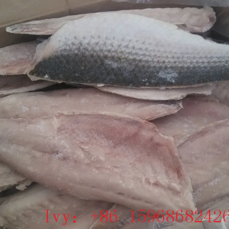 
Wholesale Good Quality frozen fish grey mullet fillet 