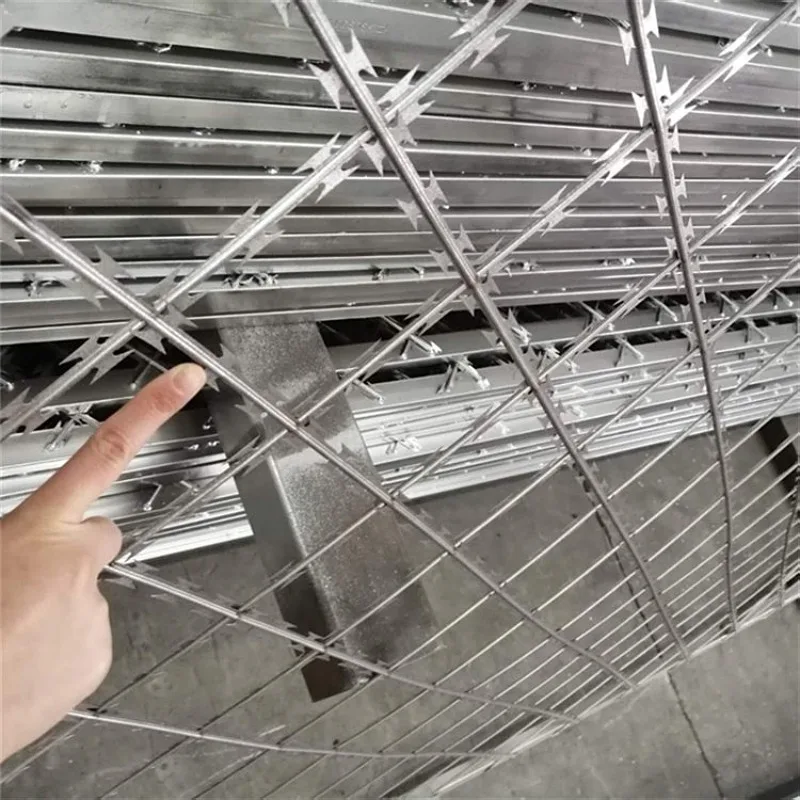 Высокий уровень безопасности бритва колючей проволоки забор из проволочной