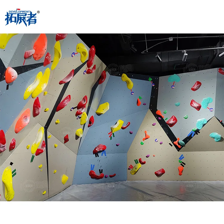 Various Style Indoor Adult Bouldering Wall With Bouldering Crash Pad