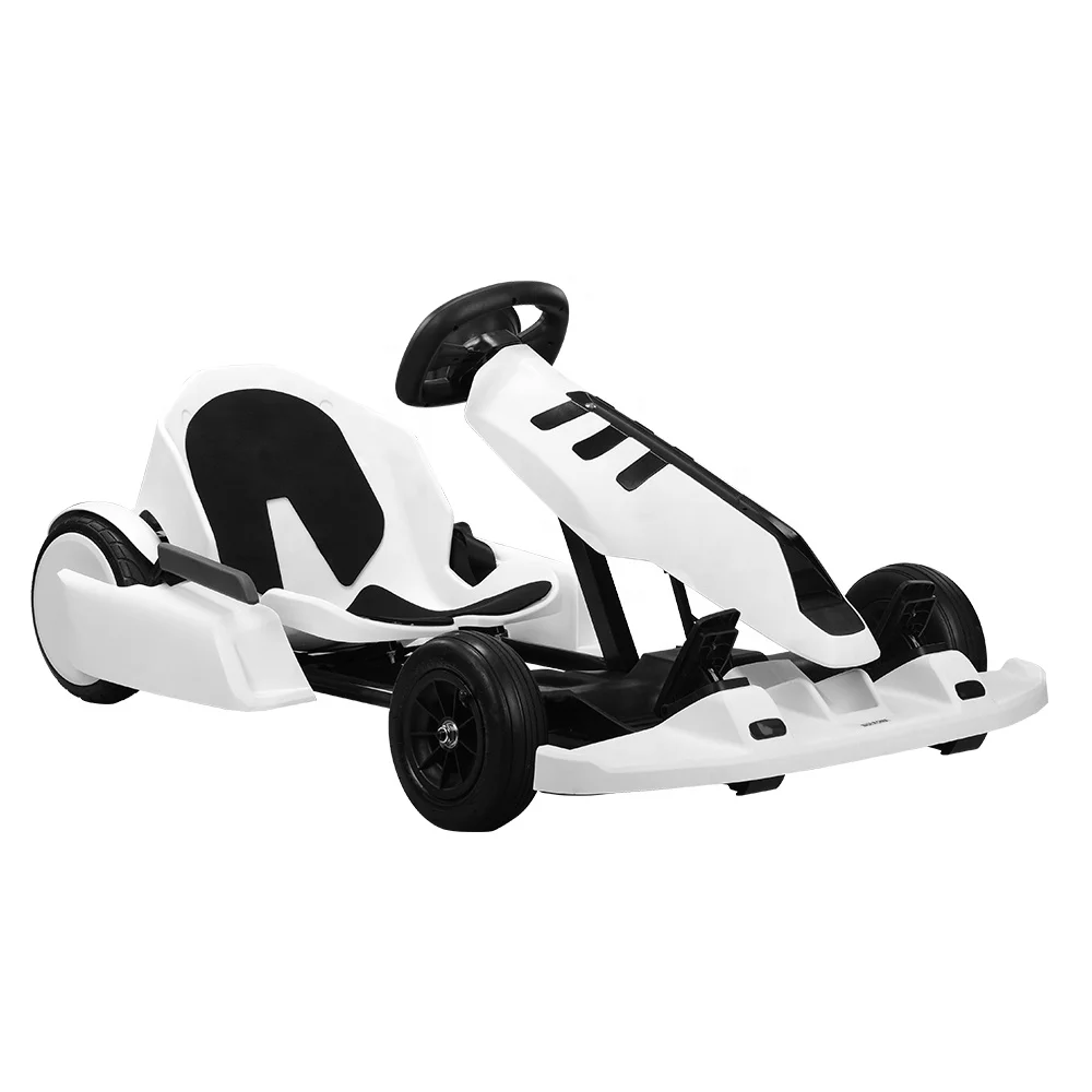 ODM OEM 54V 350W*2 Double motors Electric Go Kart