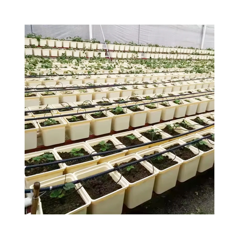 Wholesale Soilless Cultivation Indoor Hydroponic Seeding Dutch Flower Bucket Barrels HL Planting for Blueberries