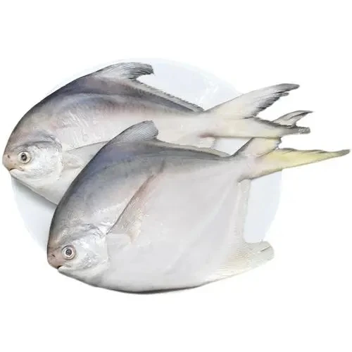 Frozen Pomfret Fish Silver Pomfret Fish Chinese Pomfret Fish
