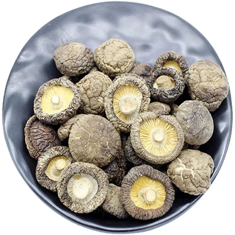 Most Trendy dried mushroom korean mushroom rare edible mushroom